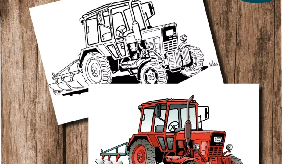 MTZ traktor minta cethalbogyó